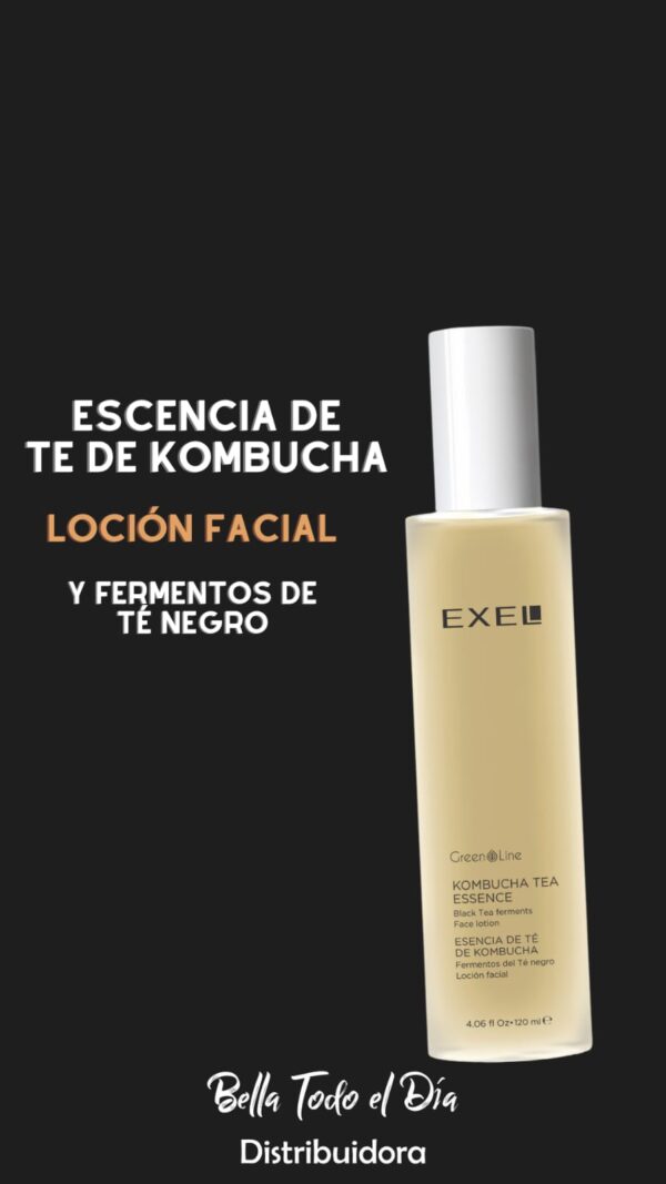 Escencia de te de kombucha x 120ml Exel Green Line