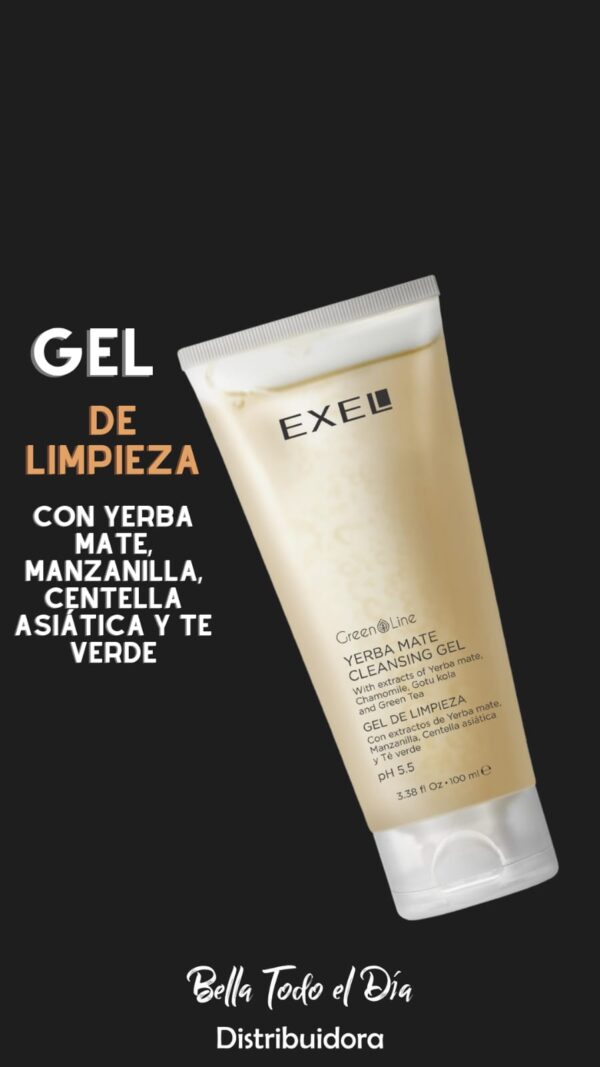 Gel de Limpieza x 100ml linea Green Line