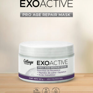 Máscara Pro Age Repair con Exosomas de resveratrol+ Péptidos de Cobre + Equisetum (Cola de caballo) + Ácido Hialurónico  Collage