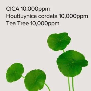 Mascara facial (30 unidades) con CENTELLA ASIATICA TEA TREE MASK Mary&May